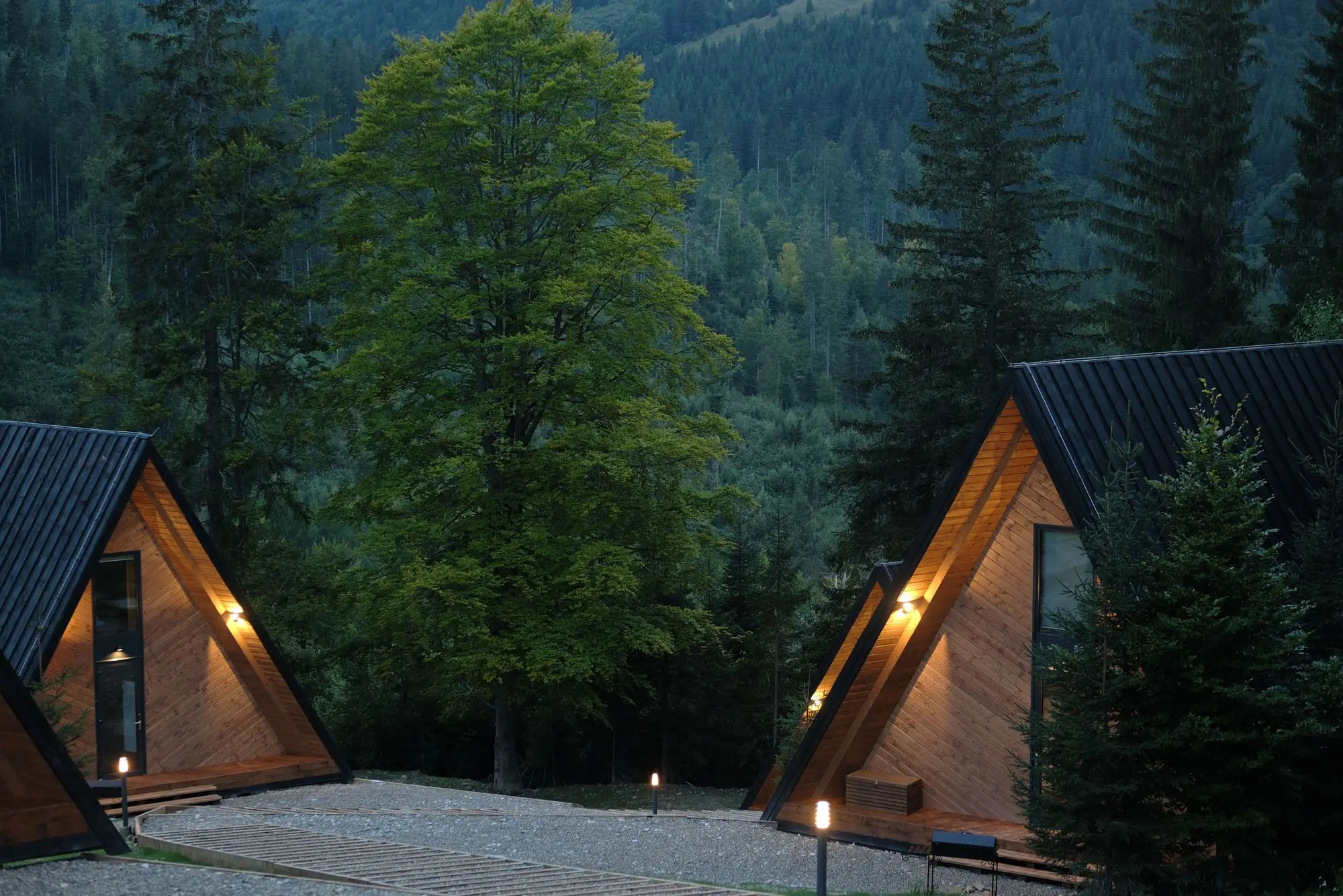 Уліс — фото 3