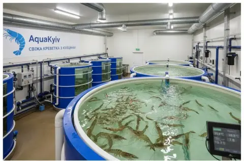 AquaKyiv Shrimp Farm